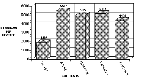 Graph Image